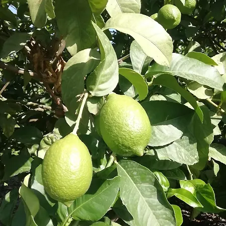 Tapias, Casa Don Juan 度假居