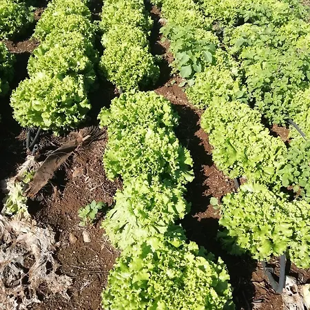 Tapias, Casa Don Juan * La Paz