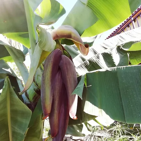 Tapias, Casa Don Juan בית נופש *